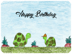 Birthday Turtles Celebration Hat