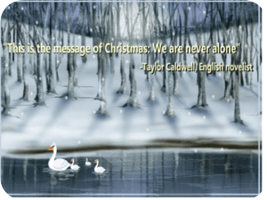 Christmas Swan Family Winter Snow