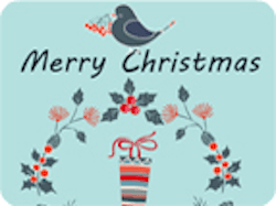 Merry Christmas Bird Wreath