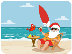 Santa Beach Surfing Parrot