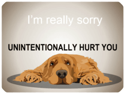 I'm Really Sorry