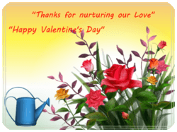 Valentines Day Colorful Flowers