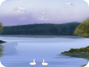 Serene Lake Swans Sunset