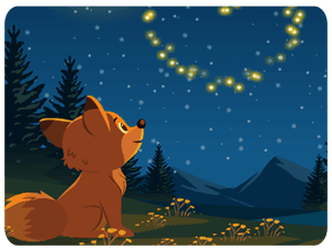 Fox Stargazing Night Sky