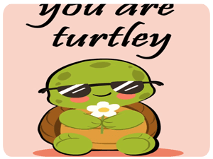 Cute Turtle Sunglasses