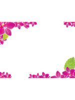 General Frame 2