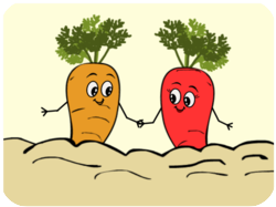 Cute Valentine Carrots Holding Hands