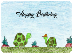 Birthday Turtles Celebration Hat