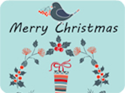 Merry Christmas Bird Wreath