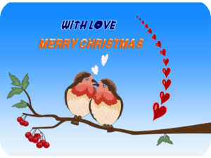 Merry Christmas Love Birds