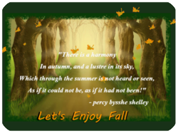 Let's Enjoy Fall