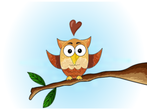 Cute Valentines Owl Love