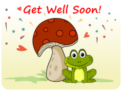 Get Well Soon Frog Mushroom