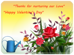 Valentines Day Colorful Flowers