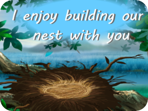 Nest Building Love Nature