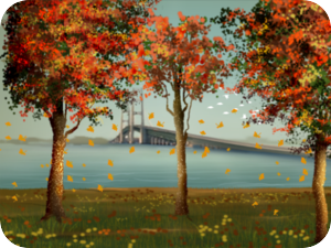 Autumn Leaves Fall Scenery