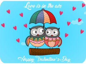 Valentines Day Cute Owls Love
